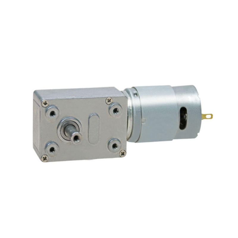 3246WG385 Motor cu angrenaj melcat