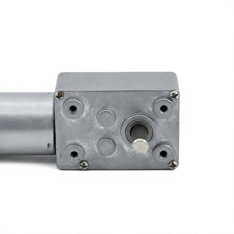 3246WG370 Motor cu angrenaj melcat