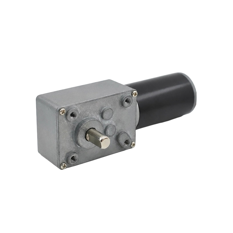 4058WG31S Motor cu angrenaj melcat